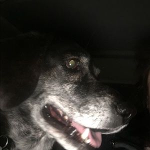 Meet your Posher, Stacy